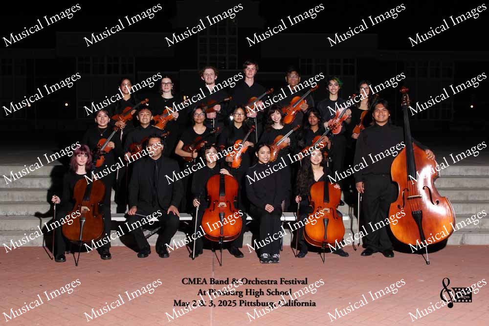 Musical Images